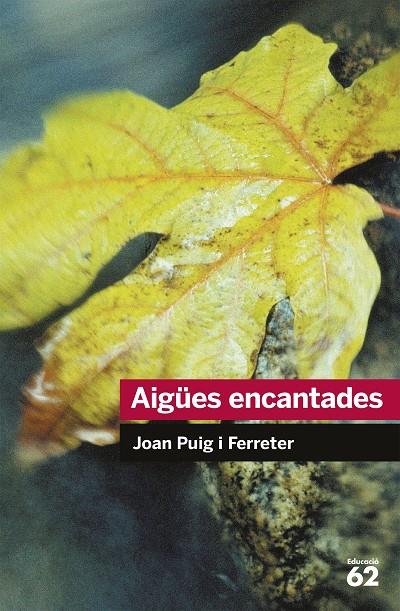 Aigües encantades | 9788492672431 | Joan Puig i Ferreter