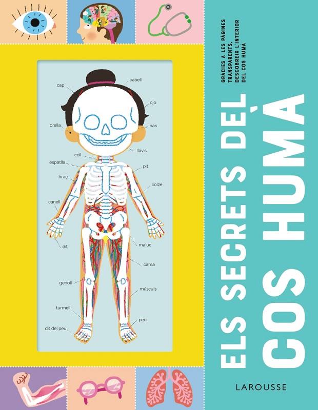 Els secrets del cos humà | 9788418473227 | Mélisande Luthringer