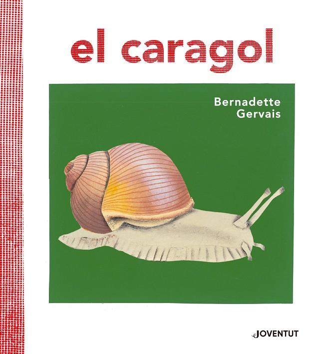 El caragol | 9788426145680 | Bernadette Gervais