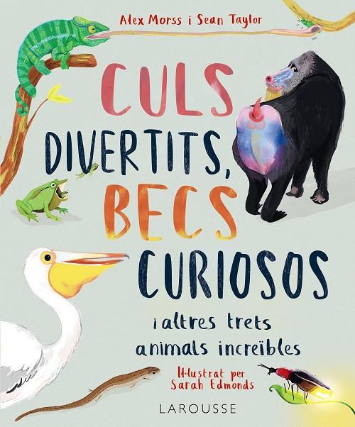 Culs divertits, becs curiosos i altres trets animals increïbles | 9788419436016 | Alex Morss ; Sean Taylor ; Sarah Edmonds