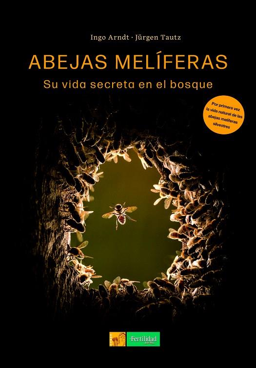 Abejas melíferas | 9788412587579 | Jürgen Tautz ; Ingo Arndt