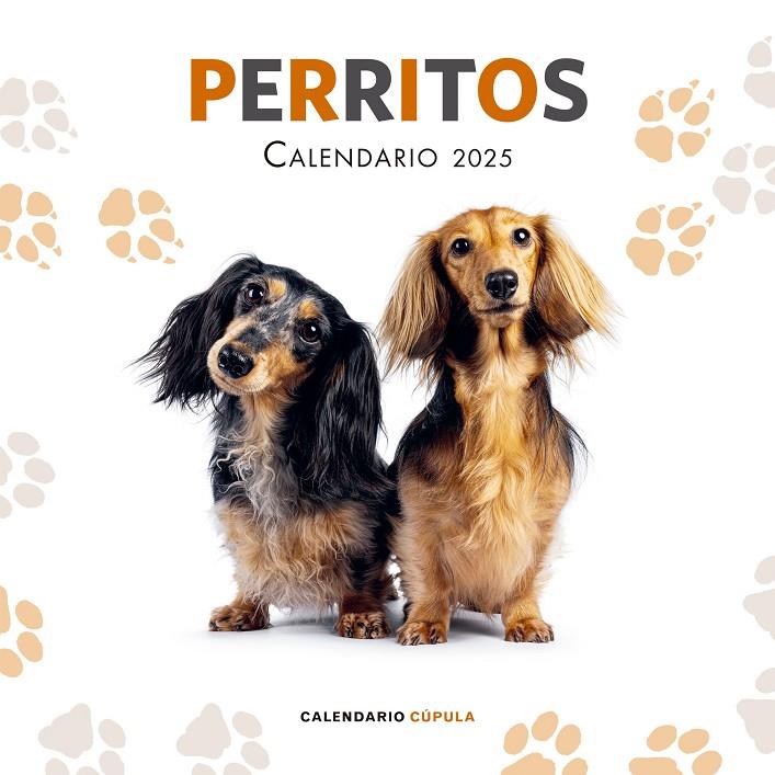 Calendario 2025 Perritos | 9788448041649