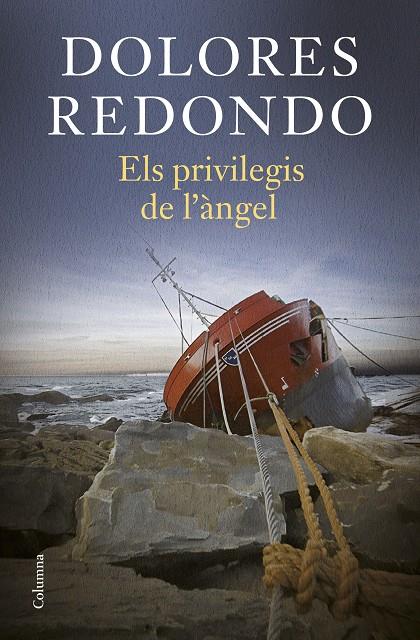 Els privilegis de l'àngel | 9788466431224 | Dolores Redondo