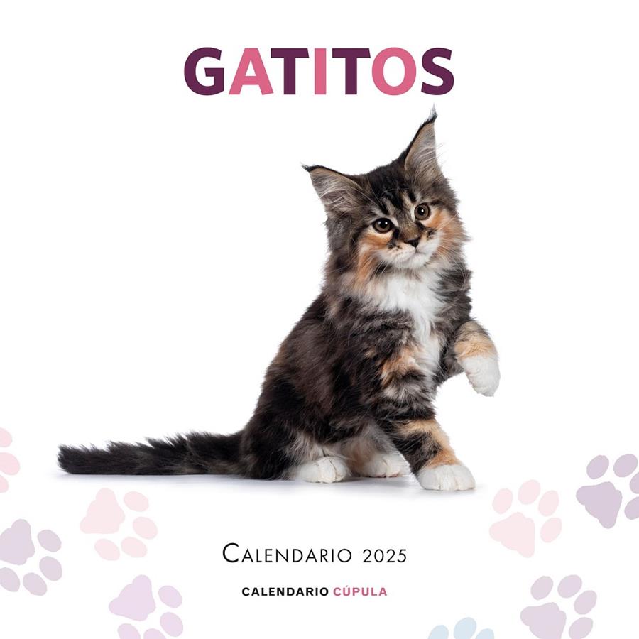 Calendario 2025 Gatitos | 9788448041656