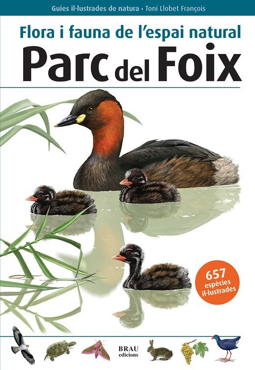 Flora i fauna de l'espai natural Parc del Foix | 9788496905580 | Xavier Bayer ; Cisco Guasch ; Toni Llobet i François