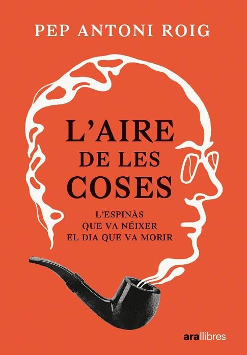 L'aire de les coses | 9788411730440 | Pep Antoni Roig