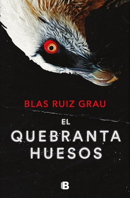 El quebrantahuesos (Nicolás Valdés; 4) | 9788466673600 | Blas Ruiz Grau