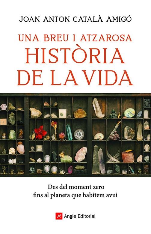 Una breu i atzarosa història de la vida | 9788418197956 | Joan Anton Català Amigó