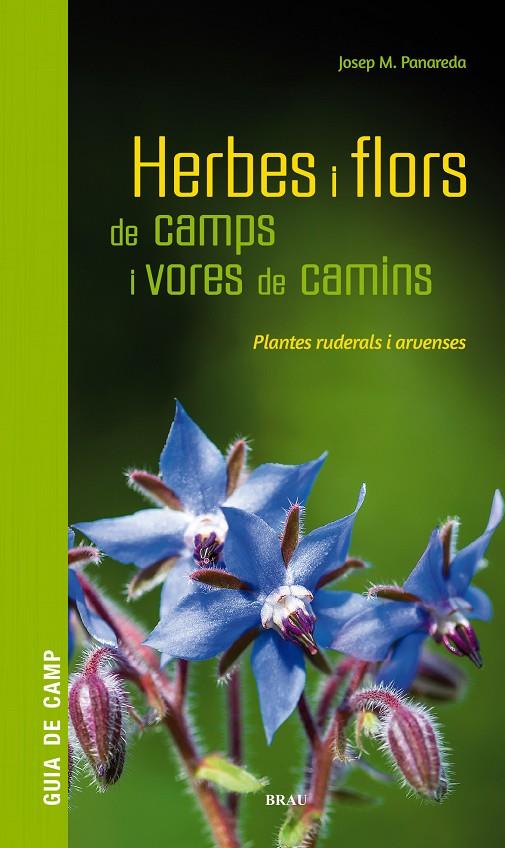 Herbes i flors de camps i vores de camins | 9788418096082 | Josep M. Panareda ; Maravillas Boccio