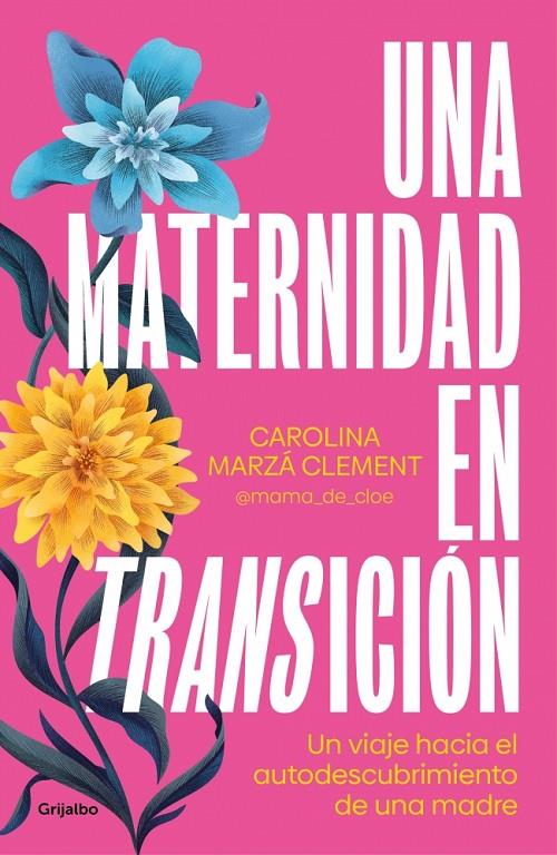 Una maternidad en transición | 9788425367946 | Carolina Marzá Clement (@mama_de_cloe)