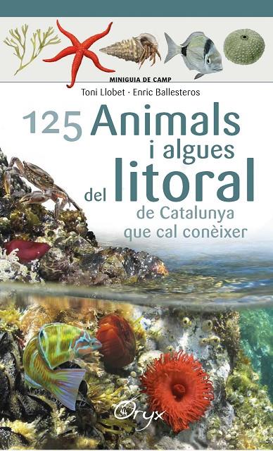 125 animals i algues del litoral de Catalunya que cal conèixer | 9788490347416 | Toni Llobet ; Enric Ballesteros