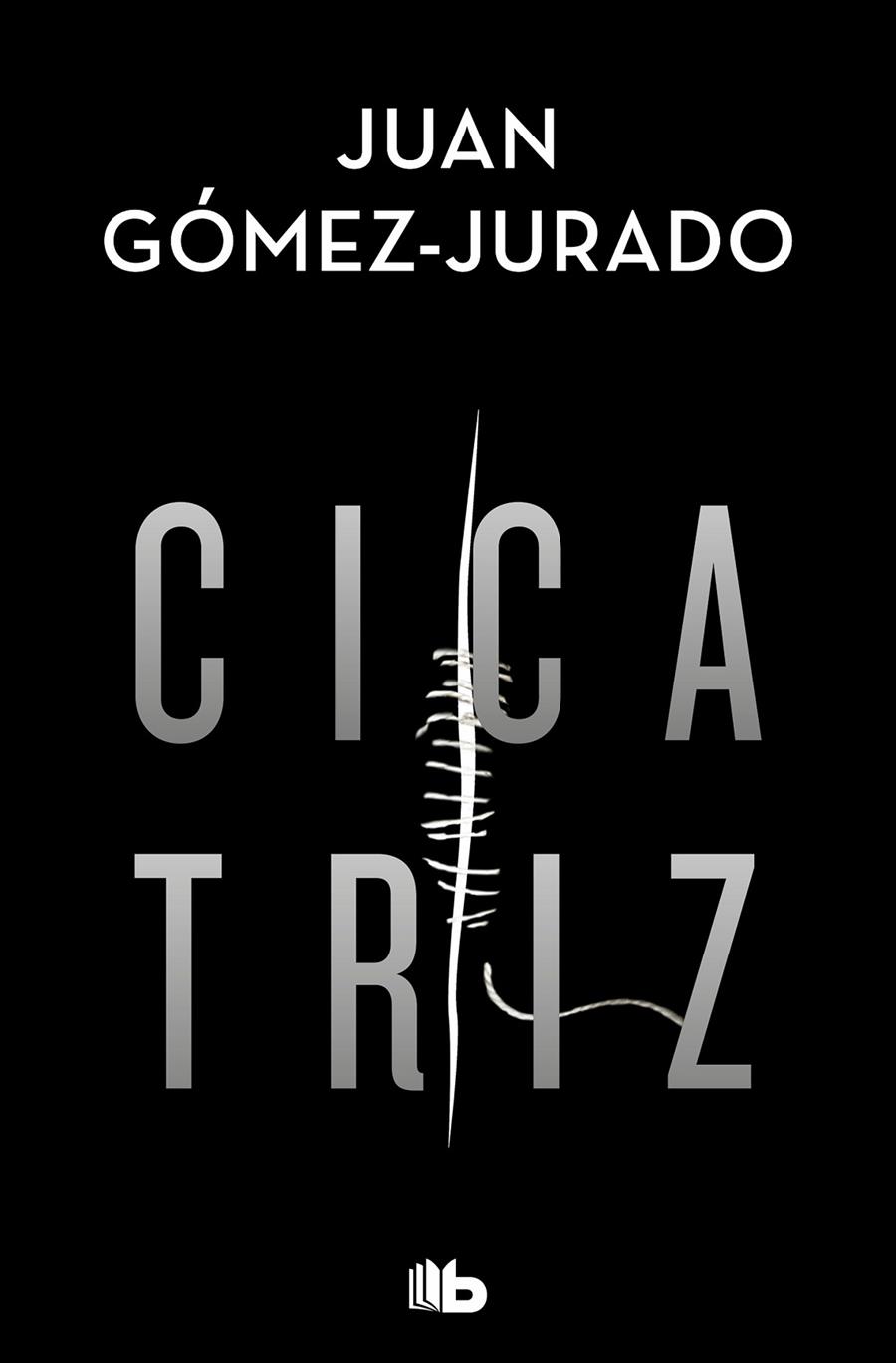 Cicatriz | 9788413143231 | Juan Gómez-Jurado