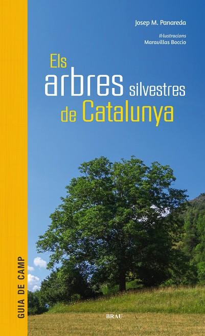 Els arbres  silvestres de Catalunya | 9788415885856 | Josep M. Panadera ; Maravillas Boccio