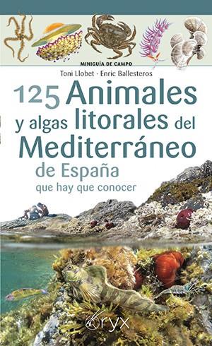 125 Animales y algas litorales del Mediterráneo de España que hay que conocer | 9788418735400 | Toni Llobet ; Enric Ballesteros