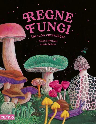 Regne fungi : un món entrellaçat | 9788482896922 | Octavia Mosciatti ; Loreto Salinas