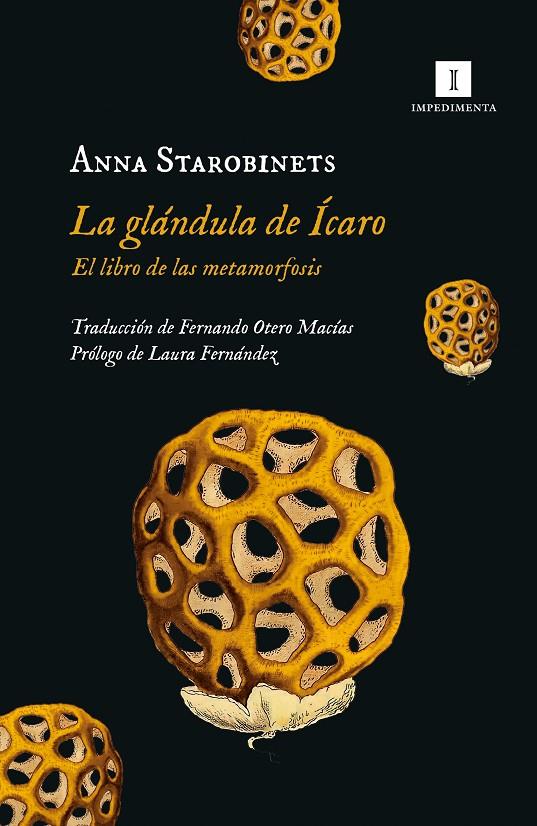 La glándula de Ícaro | 9788419581020 | Ann Starobinets