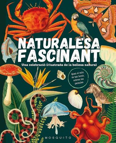 Naturalesa fascinant | 9788419095596