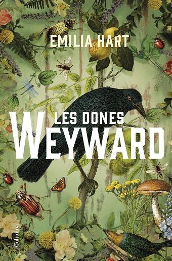 Les dones Weyward | 9788466430210 | Emilia Hart