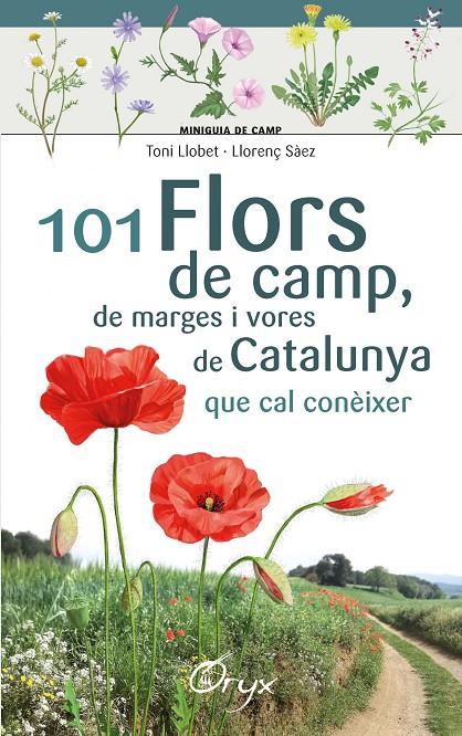 101 flors de camp, de marges i vores de Catalunya que cal conèixer | 9788490348413 | Toni Llobet ; Llorenç Sàez