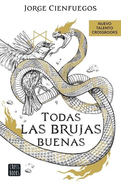 Todas las brujas buenas | 9788408260066 | Jorge Cienfuegos