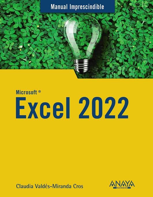 Excel 2022 | 9788441545182 | Claudia Valdés-Miranda Cros