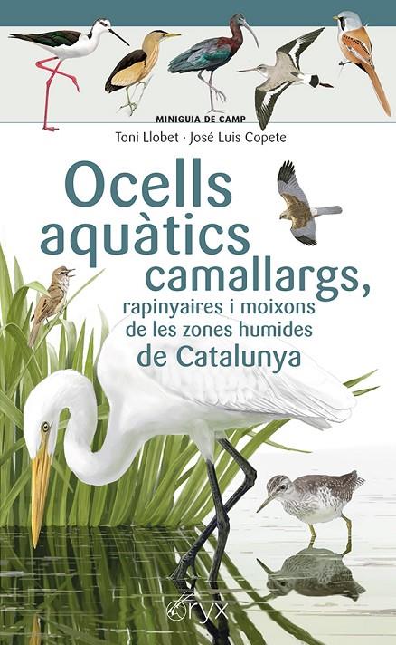 Ocells aquàtics camallargs, rapinyaires i moixons de les zones humides de CataluNYA | 9788413564746 | Toni Llobet ; José Luis Copete