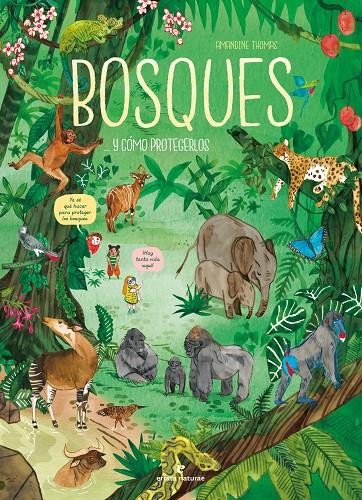 Bosques... y cómo protegerlos | 9788419158307 | Amandine Thomas