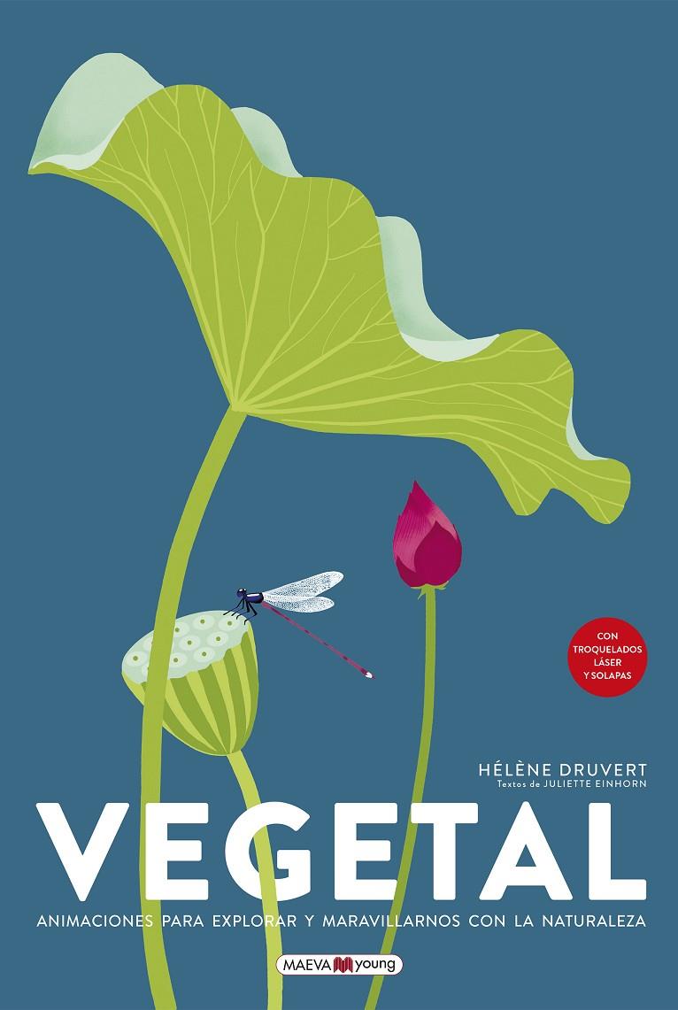 Vegetal (castellà) | 9788419110879 | Hélène Druvert ; Juliette Einhorn