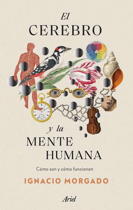 El cerebro y la mente humana | 9788434435988 | Ignacio Morgado