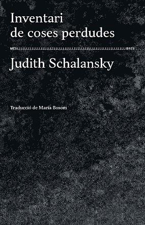 Inventari de coses perdudes | 9788417353223 | Judith Schalansky