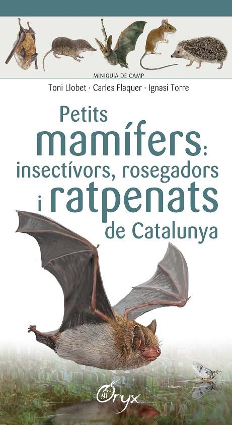 Petits mamífers: insectívors, rosegadors i ratpenats de Catalunya | 9788490348956 | Toni Llobet ; Carles Flaquer ; Ignasi Torre