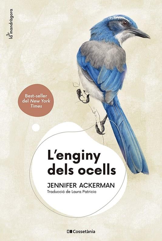 L'enginy dels ocells | 9788413562544 | Jennifer Ackerman