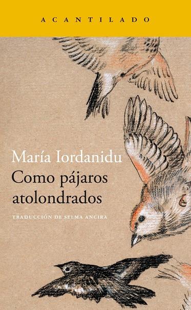 Como pájaros atolondrados | 9788419036704 | Maria Iordanidu