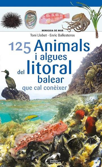 125 animals i algues del litoral balear que cal conèixer | 9788413562704 | Toni Llobet ; Enric Ballesteros