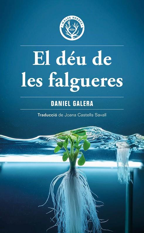 El déu de les falgueres | 9788412910919 | Daniel Galera