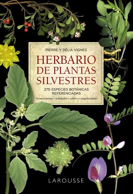 Herbario de plantas silvestres | 9788418473999 | Pierra Vignes ; Délia Vignes