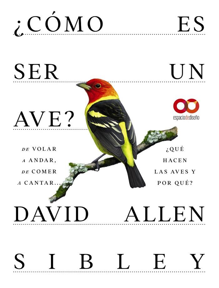 ¿Cómo es ser un ave? De volar a anidar, de comer a cantar... | 9788441549050 | David Allen Sibley