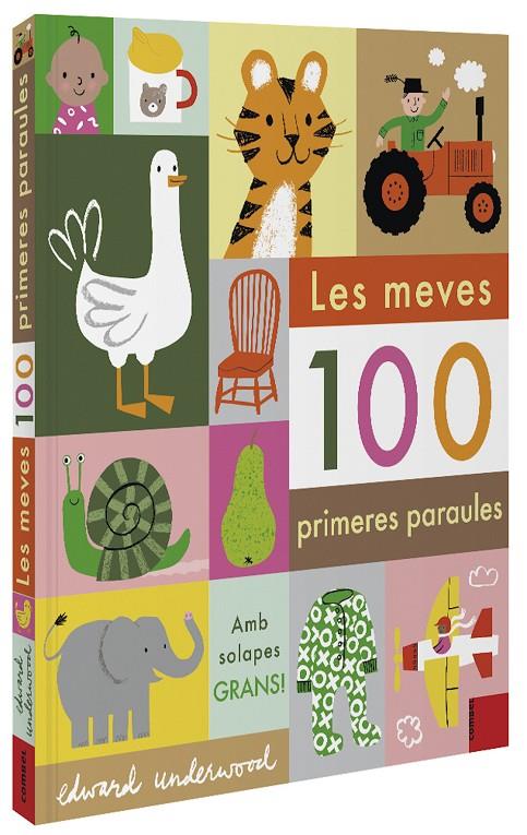 Les meves 100 primeres paraules | 9788491015932 | Edward Underwood