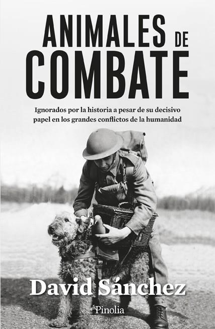 Animales de combate | 9788419878229 | David Sánchez