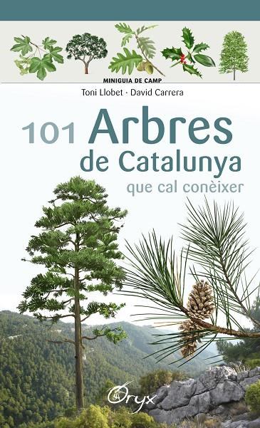 101 arbres de Catalunya que cal conèixer | 9788490346778 | Toni Llobet François ; David Carrera Bonet