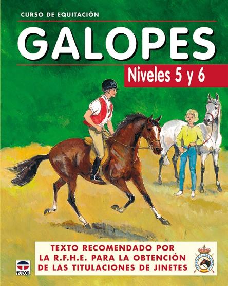 Galopes 5 y 6 (Curso de equitación) | 9788479025625 | Los Autores de Galopes