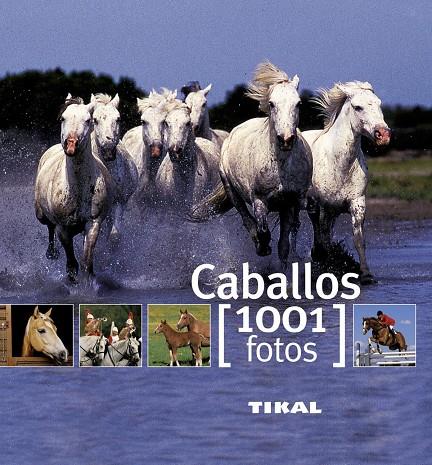 Caballos : 1001 fotos | 9788499280875 | Murielle Rudel ; Michel Viard